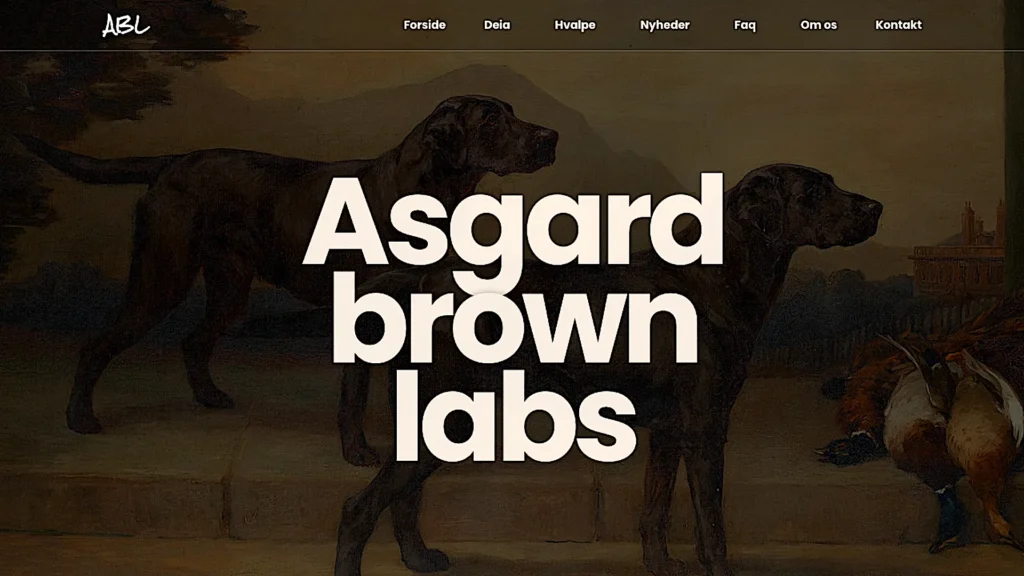 Asgardbrownlabs